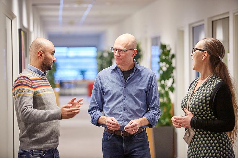 Forskere på institut for Kommunikation og Psykologi i københavn